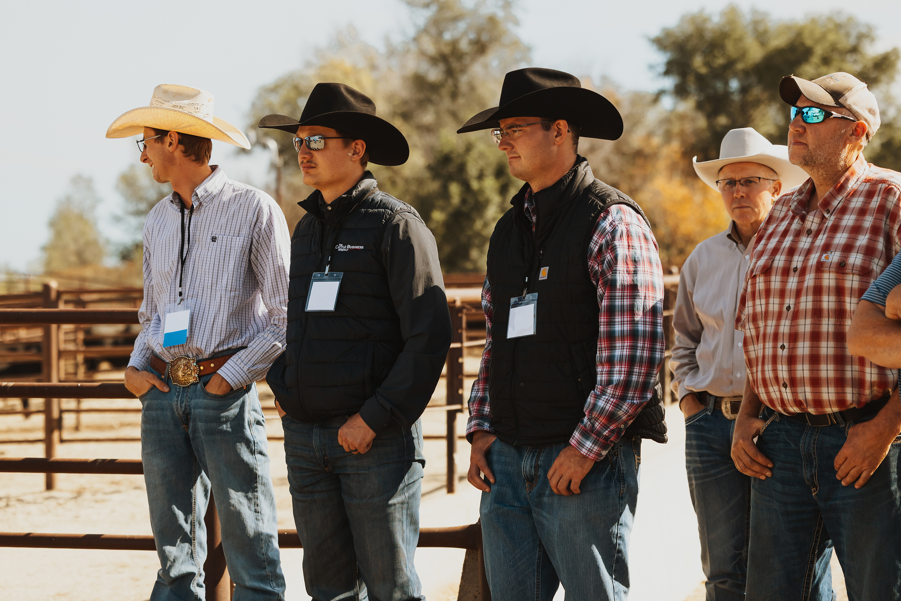 All Breeds Cattle Tour showcases 11 seedstock producers